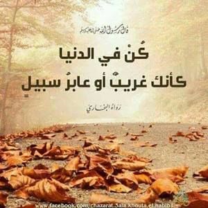 Meet your Posher, Abdallah